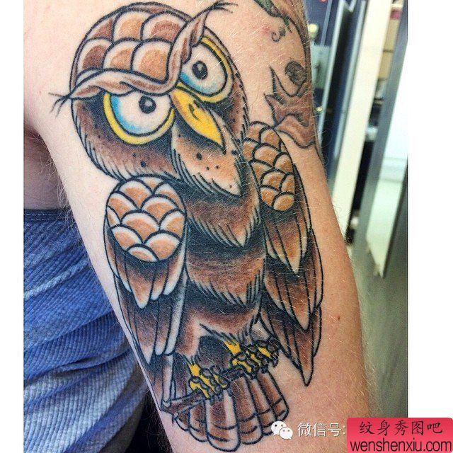 文身秀图吧推荐一组猫头鹰文身作品