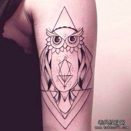 女人手臂猫头鹰文身作品