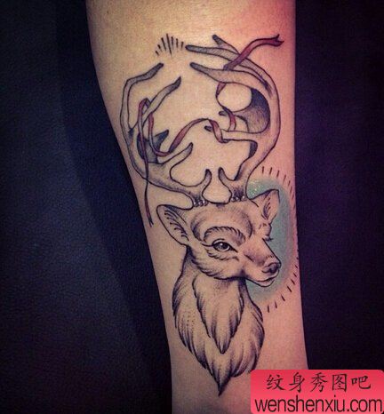 手臂黑白羚羊文身作品