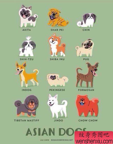 文身秀图吧推荐一组汪星人文身作品