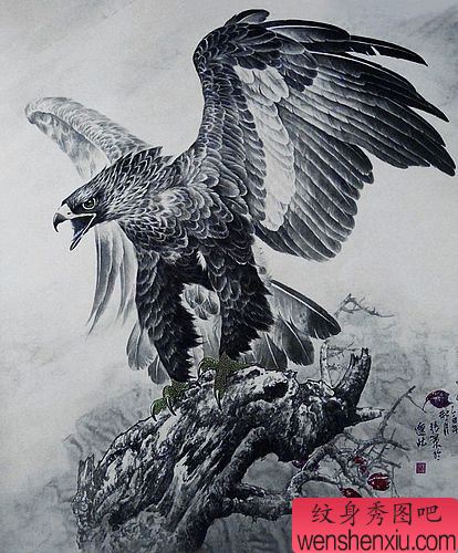 文身秀图吧推荐一组老鹰文身作品