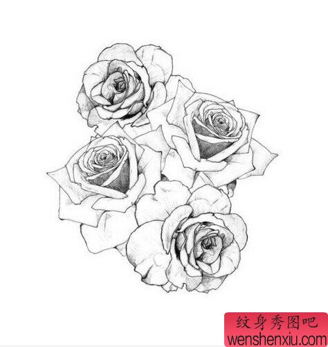 玫瑰花文身作品