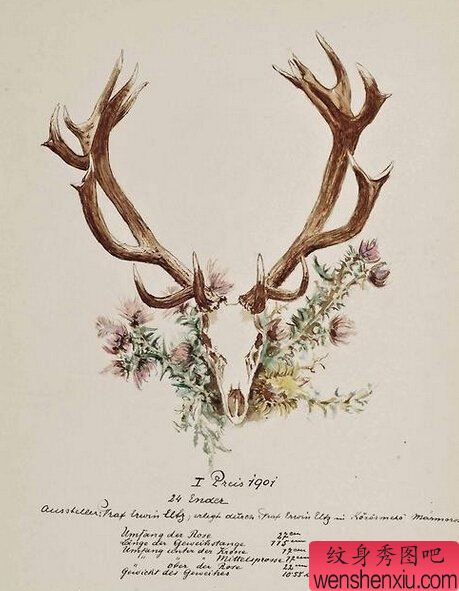 彩色羚羊文身手稿作品