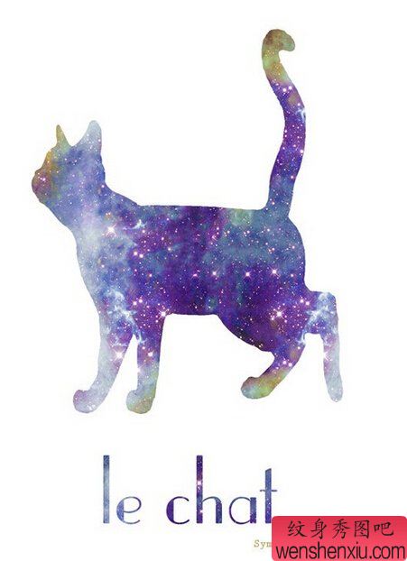 一幅星空猫咪文身手稿作品