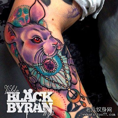 手臂彩色猫文身作品