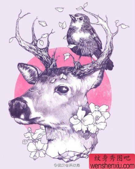 彩色创意羚羊文身手稿作品