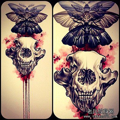 骷髅蛾文身手稿作品
