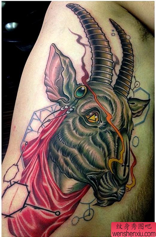 侧腰彩色羚羊文身作品