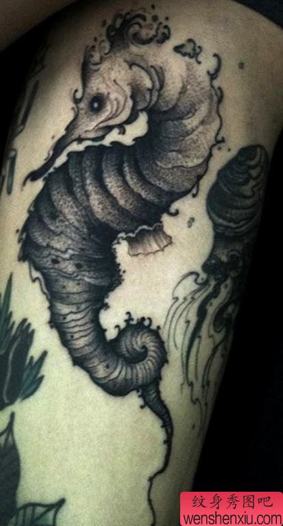 手臂黑白海马文身
