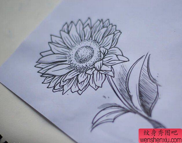 文身秀图吧推荐一幅向日葵文身手稿作品