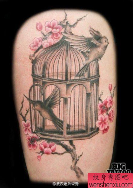 一组各种鸟笼自