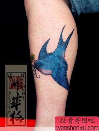 腿部彩色燕子纹身图案—日本纹身师黄炎作品