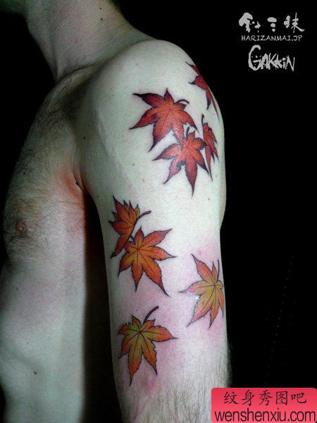 男性手臂唯美流行的枫叶纹身图案