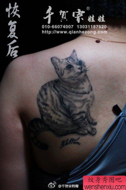 女生背部流行可爱的猫咪纹身图案