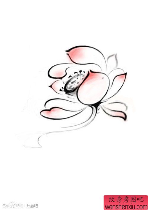 流行精美的水墨莲花纹身手稿