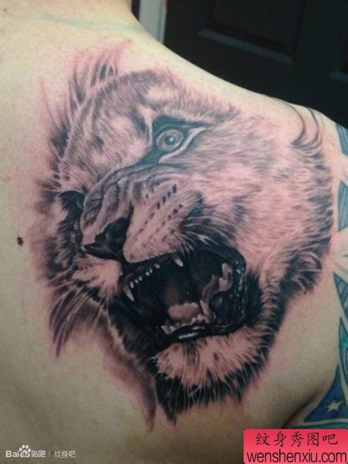 男性肩背超酷的霸气的狮头纹身图案