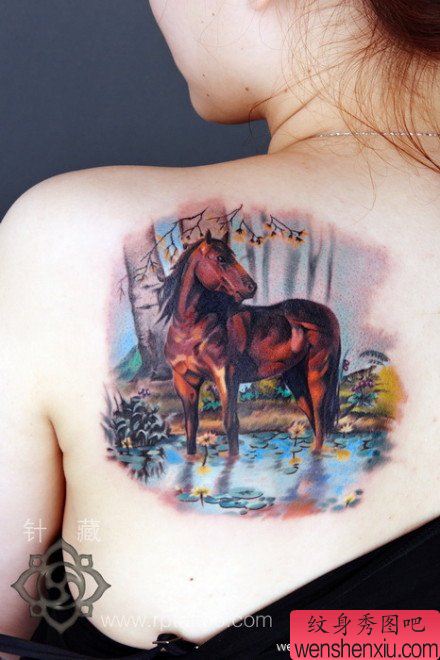 女生后背经典的欧美彩色马纹身图案