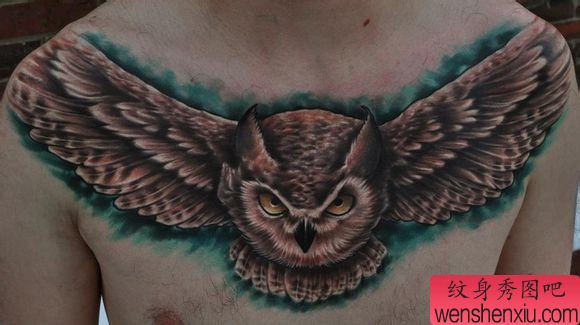 男性前胸超酷凶悍的猫头鹰纹身图案