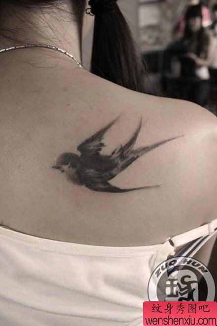 美女后背流行精美的水墨燕子纹身图案