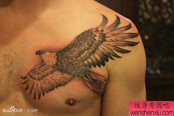 男性胸前超酷的老鹰纹身图案