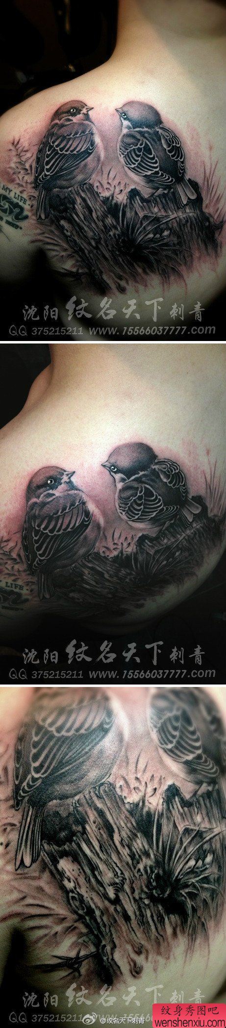 男性后背唯美的一对麻雀纹身图案