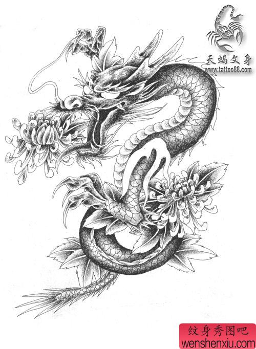 一幅披肩龙与菊花纹身手稿
