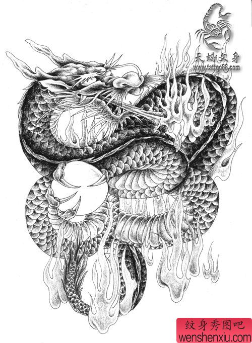 一幅霸气的喷火的龙纹身手稿