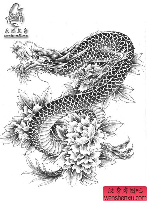 男生喜欢的披肩龙牡丹纹身手稿