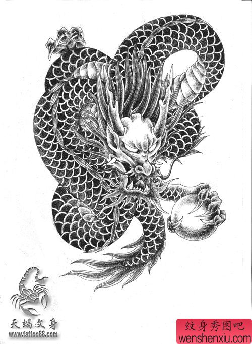 经典帅气的黑灰龙纹身手稿