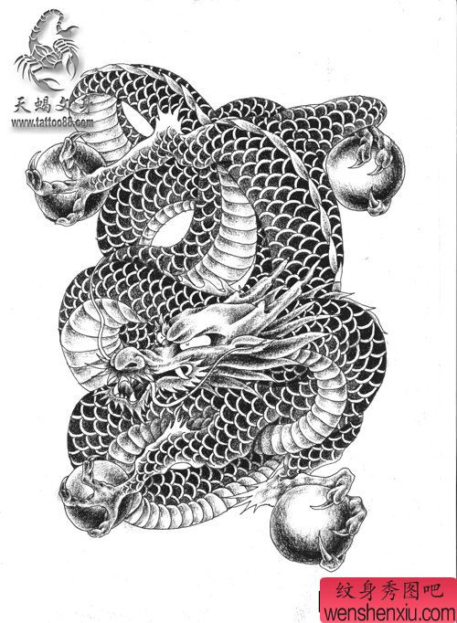 一幅抓龙珠的龙纹身手稿