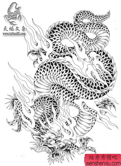 男性喜欢的帅气的满背龙纹身手稿