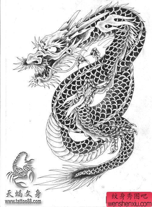 一幅经典帅气的黑灰披肩龙纹身手稿