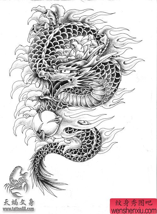 一幅适合包手臂的龙纹身手稿