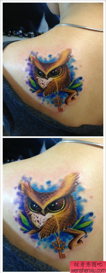 女生背部可爱很萌的猫头鹰纹身图案