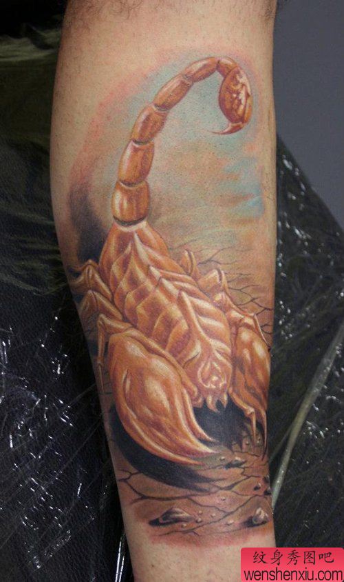 腿部流行经典的欧美彩色蝎子纹身图案