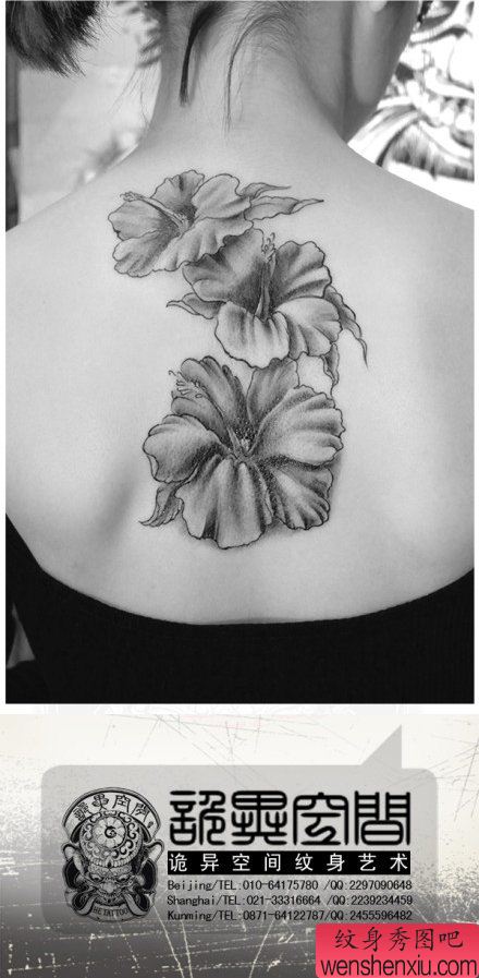 美女背部流行好看的扶桑花纹身图案