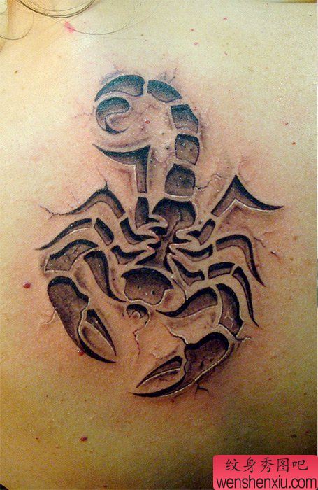 一幅流行经典的石裂烙印蝎子纹身图案