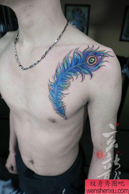 男生前胸漂亮流行的羽毛纹身图案