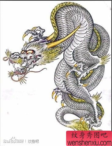 一幅霸气流行的披肩龙纹身手稿