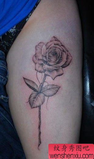 手臂唯美流行的素描玫瑰花纹身图案