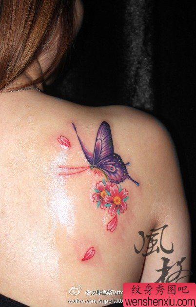 女生肩背流行漂亮的蝴蝶樱花纹身图案