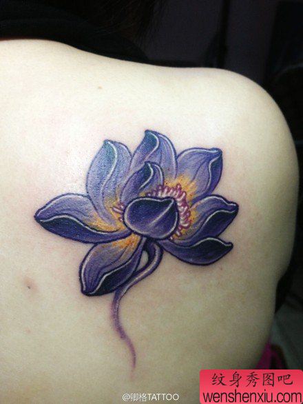 女生肩背流行唯美的莲花纹身图案