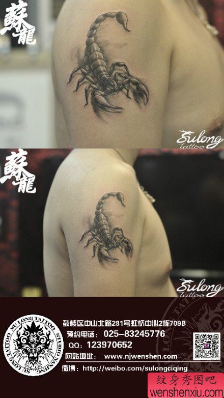 男性手臂流行经典的蝎子纹身图案