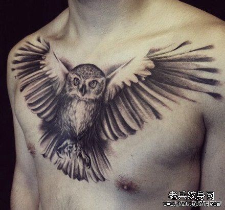 男性前胸超酷经典的黑白猫头鹰纹身图案