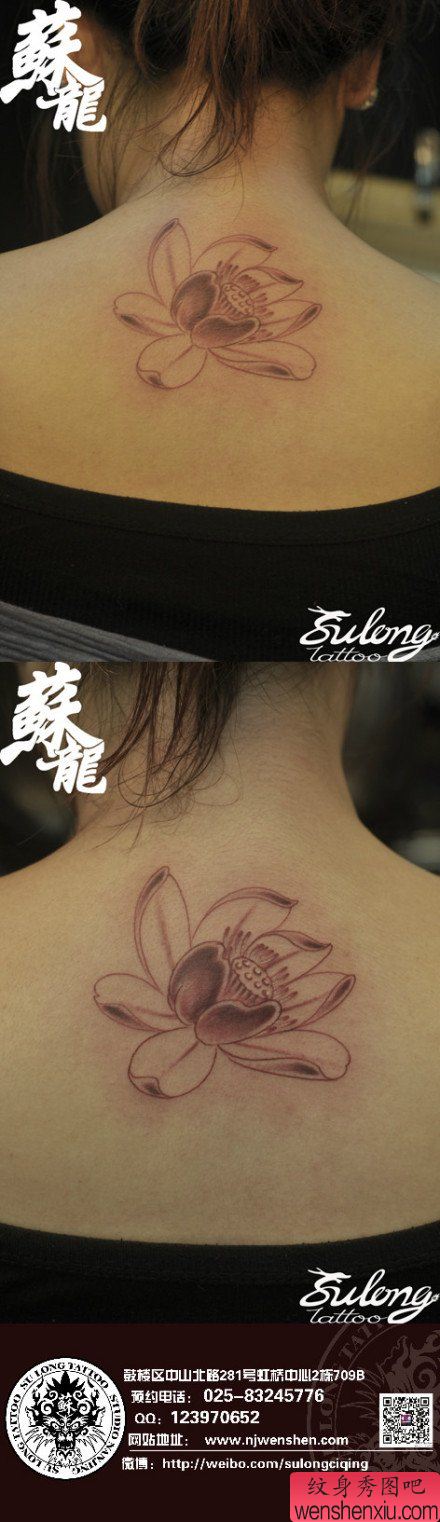女生后背流行简洁的莲花纹身图案