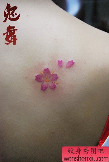 女生后肩背流行小巧的樱花纹身图案