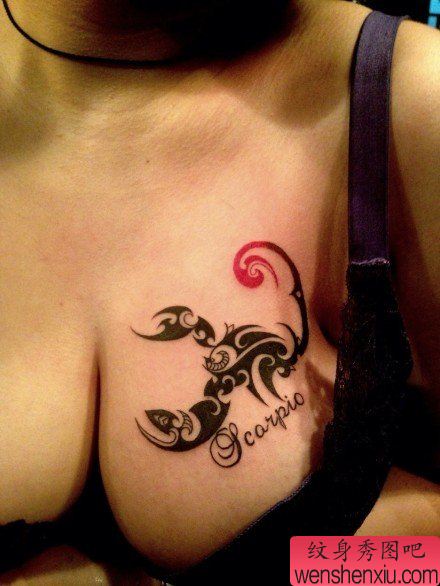 诱人的美女胸部图腾蝎子纹身图案