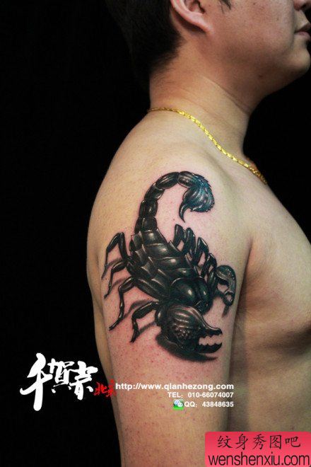 手臂超酷帅气的蝎子纹身图案