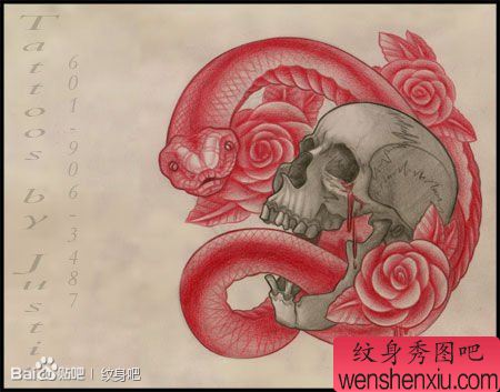 经典很酷的一幅蛇与骷髅纹身手稿