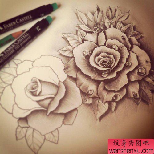 唯美流行的一幅玫瑰纹身手稿